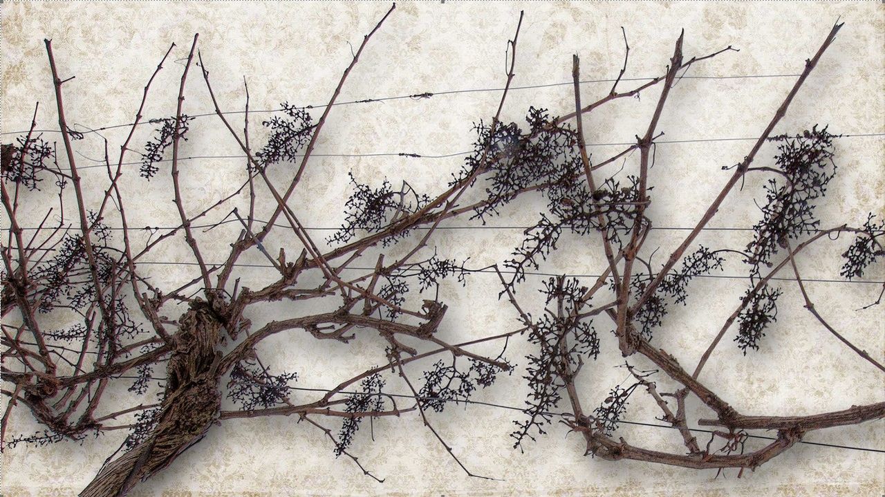 Sonderausstellung "Kunst und Wein", Leopold Pluschkowitz